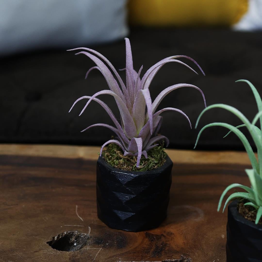 Yapay Sukulent Tüylü Tillandsia Lila 17 cm