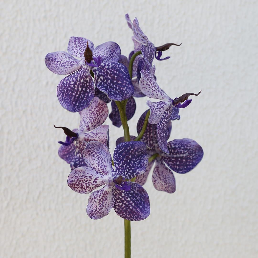 Yapay Vanda Orkide Dalı Mor 52 cm