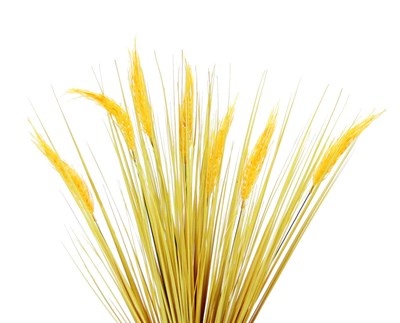 Yapay Başak Saz Demeti Sarı