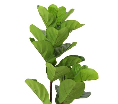 Yapay Kauçuk Dalı 135 cm