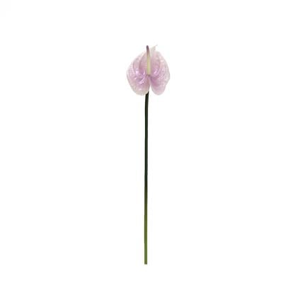 237 *40 CM LİLA ANTORYUM YAPAY ÇİÇEK CH12521688 - Netodan Gelenler
