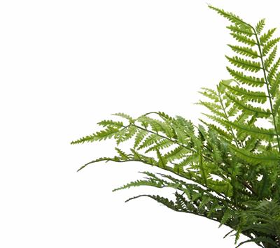 Yapay Panjur Demeti 45 cm