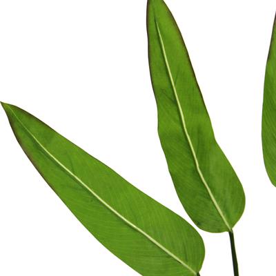 Yapay Starliçe Demeti 90 cm