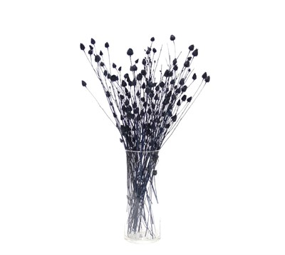 Kurutulmuş Çiçek Dikeni Demeti Lacivert