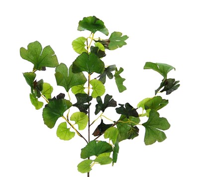 Yapay Mabet Ağacı Yaprağı Alacalı Yeşil