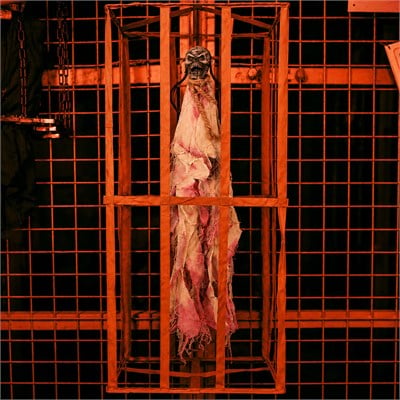 Cadılar Bayramı Hapsedilmiş Asılabilir Uzun İskelet Pembe 90 cm