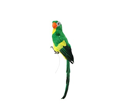 Dekoratif Papağan Küçük Yeşil - Yapay Hayvan