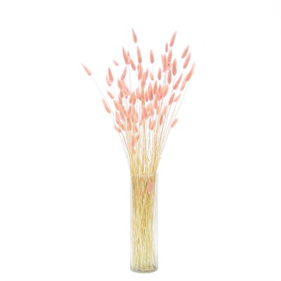 Kurutulmuş Lagurus (Pamuk Ot) Demet Pembe
