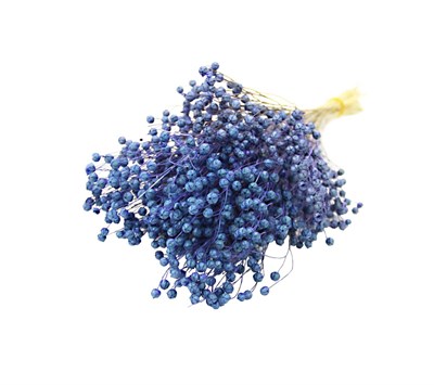 Kurutulmuş Luna (Keten) Demeti Mavi