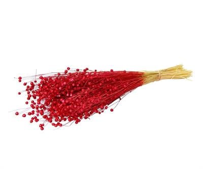 Kurutulmuş Luna (Keten) Demeti Kırmızı