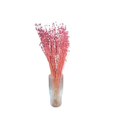 Kurutulmuş Luna (Keten) Demeti Pembe