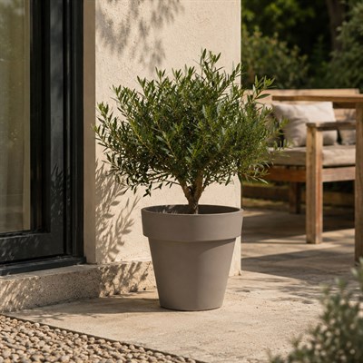 Plastik Saksı Sütlü Kahverengi 36 cm