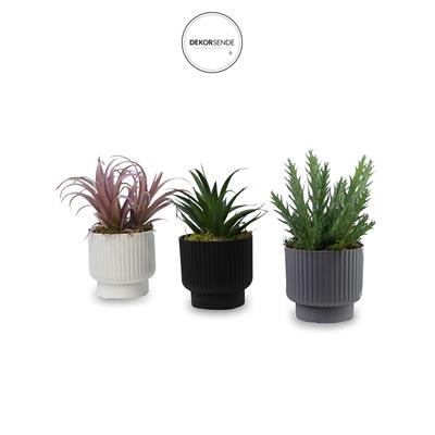 Plastik Sukulent Saksısı Çizgili Desen Beyaz 10 cm