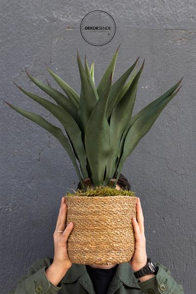 Saksısız Yapay Agave Ağacı 59 cm