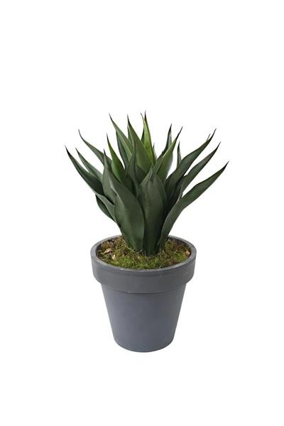 Saksısız Yapay Agave Ağacı 59 cm