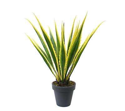 Saksısız Yapay Agave Americana Ağacı 105 cm