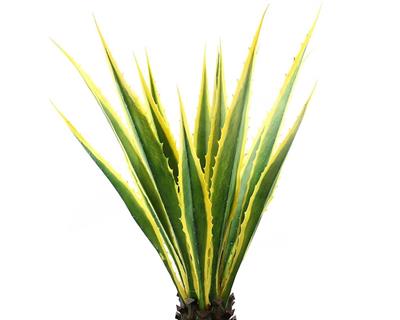 Saksısız Yapay Agave Americana Ağacı 105 cm