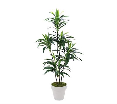 Saksısız Yapay Dracena Ağacı 150 cm