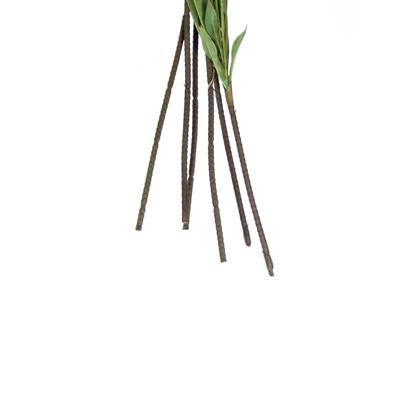Saksısız Yapay Dracena Ağacı Kırmızı 150 cm