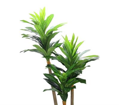 Saksısız Yapay Drasena Ağacı 180 cm