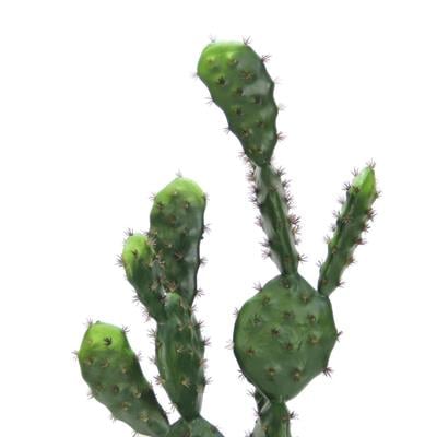 Saksısız Yapay Kaktüs 2li 70 cm