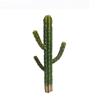 Saksısız Yapay Kaktüs Ağaç 105 cm