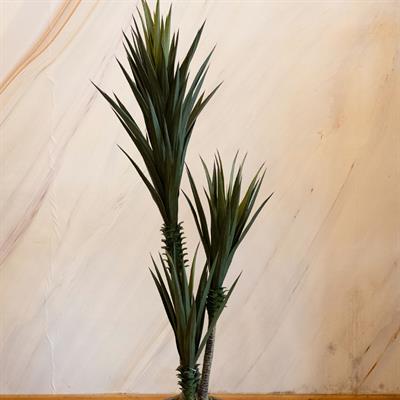 Saksısız Yapay Sisal Ağacı 160 cm