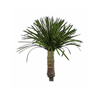 Saksısız Yapay Yucca Filamentosa Ağaç Sarı Yeşil 65 cm