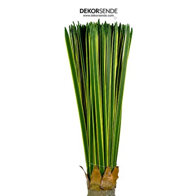 Saksısız Yapay Yucca Filamentosa Ağaç Sarı Yeşil 65 cm