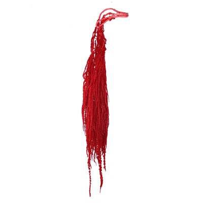 Şoklanmış Amarantus (Amaranthus) Demet Kırmızı 100 cm