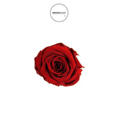 Şoklanmış Kırmızı Gül Kafası 8li