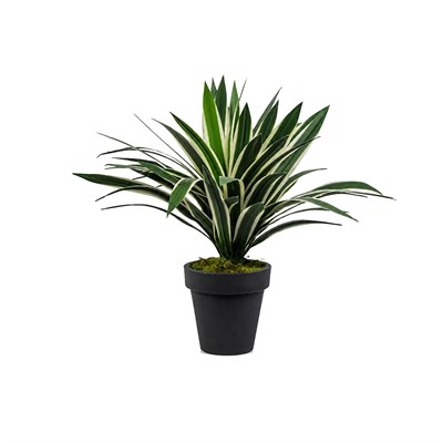 Yapay Agave Ağaç Alacalı Yeşil 55 cm