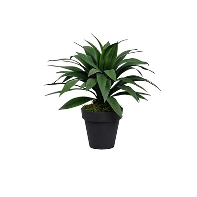 Yapay Agave Ağaç Yeşil 45 cm