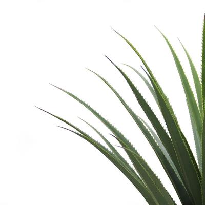 Yapay Agave Ağacı Saksısız 125 cm