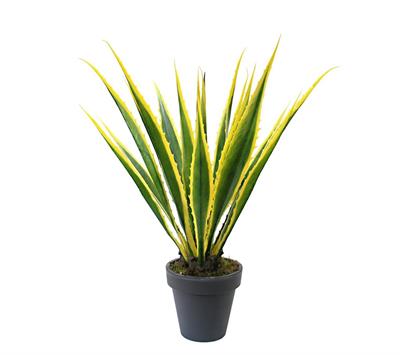 Yapay Agave Americana Ağacı 105 cm