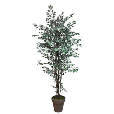 Yapay Alacalı Benjamin Ağaç 170 cm