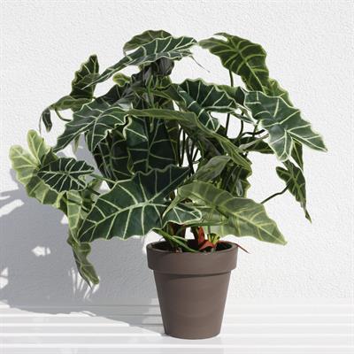 Yapay Alocasia Demeti 65 cm