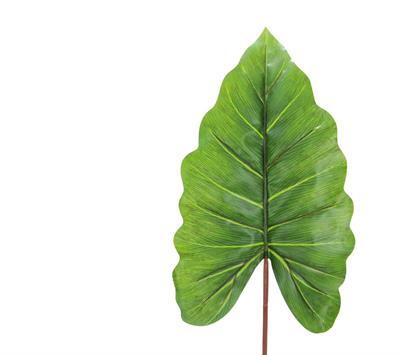 Yapay Alocasia Yaprak 88 cm