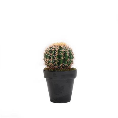 Yapay Altın Fıçı (Barrel) Kaktüs 35 Cm