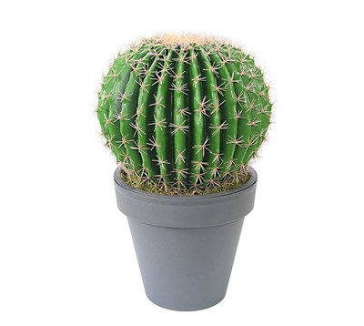 Yapay Altın Fıçı (Barrel) Kaktüs 55 cm