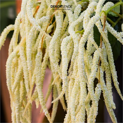 Yapay Amarantus (Amaranthus) Dal Yapraklı Beyaz 90 cm