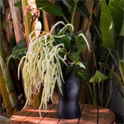 Yapay Amarantus (Amaranthus) Dal Yapraklı Beyaz 90 cm