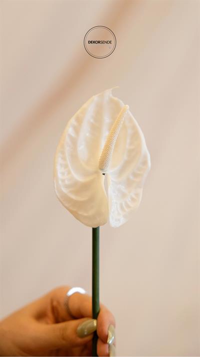 Yapay Antoryum Çiçeği Canlı Dokunuş Beyaz 40 cm