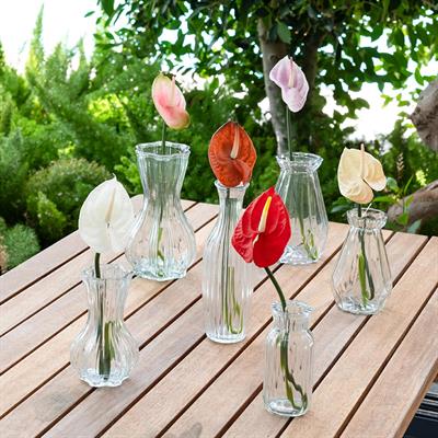 Yapay Antoryum Çiçeği Canlı Dokunuş Kırmızı 40 cm