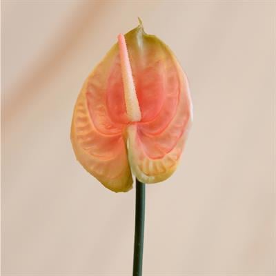 Yapay Antoryum Çiçeği Canlı Dokunuş Pembe 40 cm