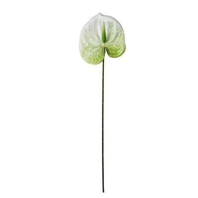 Yapay Antoryum Dal Beyaz 60 cm