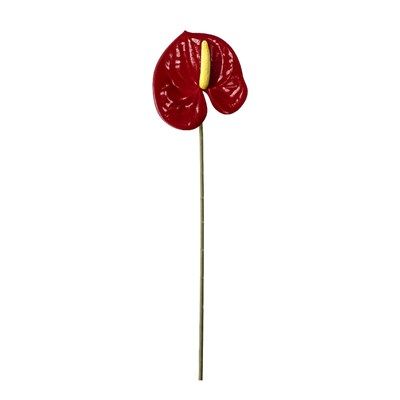 Yapay Antoryum Dal Kırmızı 60 cm