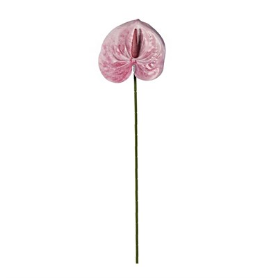 Yapay Antoryum Dal Pembe 60 cm
