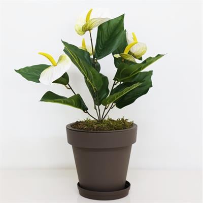 Yapay Antoryum Demeti Beyaz 45 cm