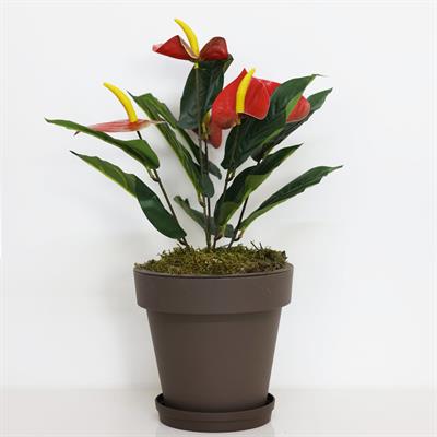 Yapay Antoryum Demeti Kırmızı 45 cm
